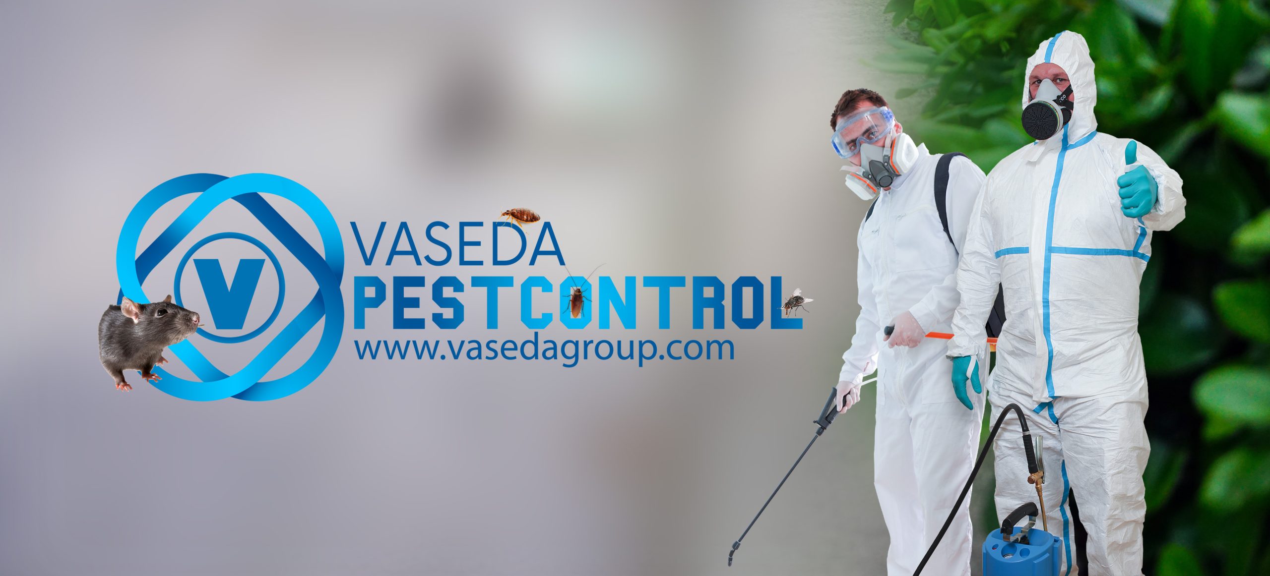 Vaseda Pest Control Rev Slider 001