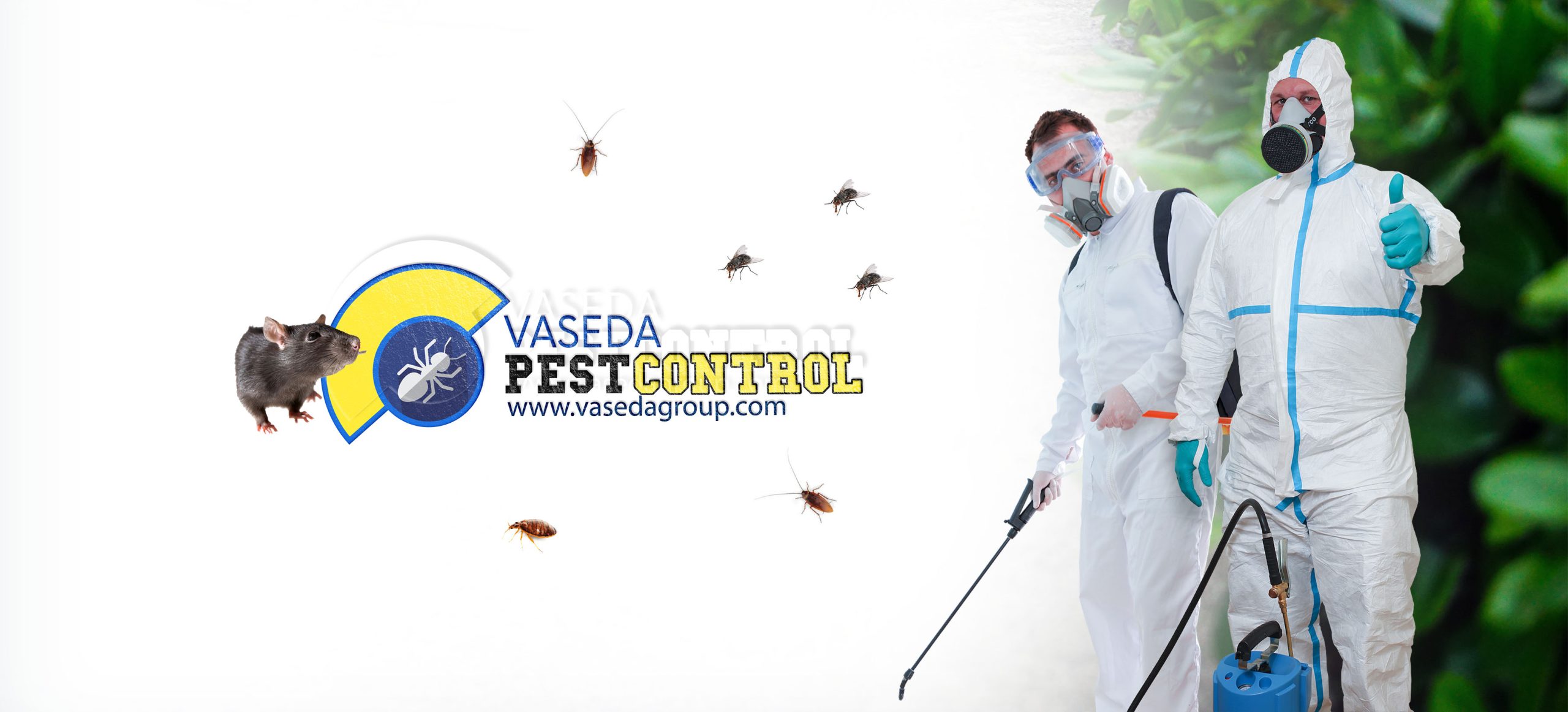 Vaseda Pest Control Rev Slider 0001